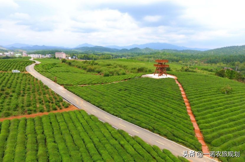 申报生态农业扶持项目标准,农业项目补贴政策申报代理