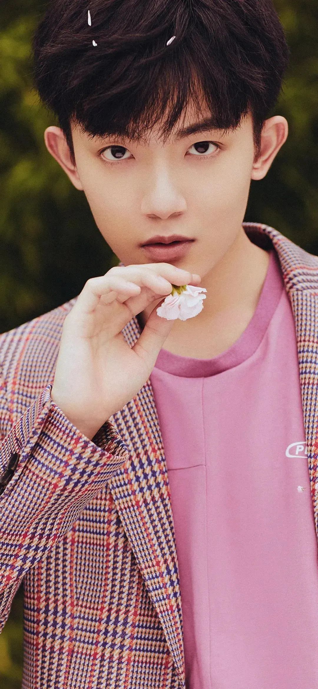 壁纸不要寄希望于别人多看自己,壁纸接受事与愿违