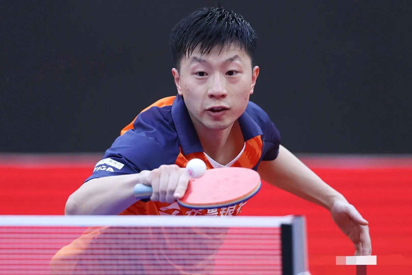 大头王楚钦赢了吗,大黑马击败泰森