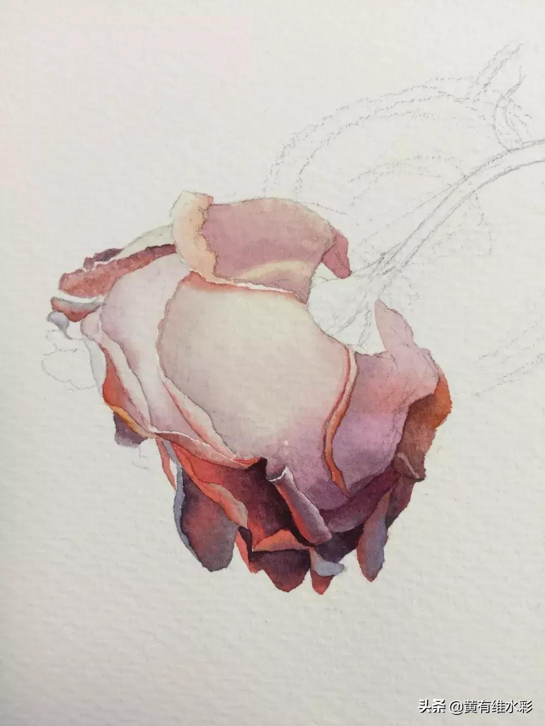 33朵玫瑰制作全过程,英伦花教程