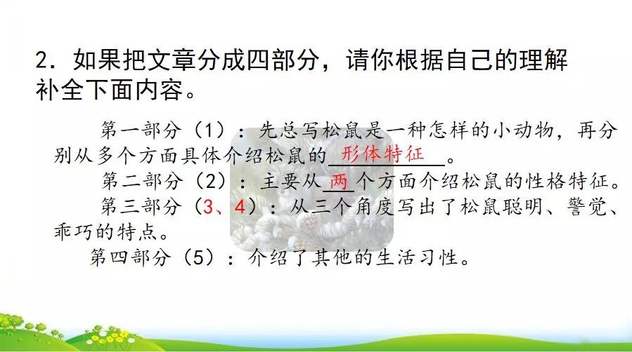 五年级语文第17课松鼠讲解,五年级上册第17课松鼠教材详解