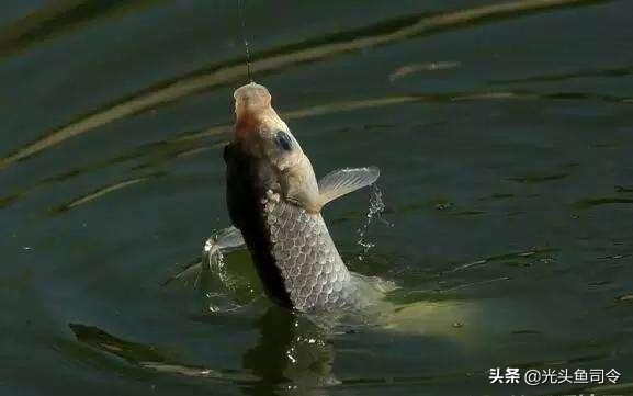 鱼竿钓轮胎,鱼线拉小车,渔具中的套路,你中奖没?说出来不丢人