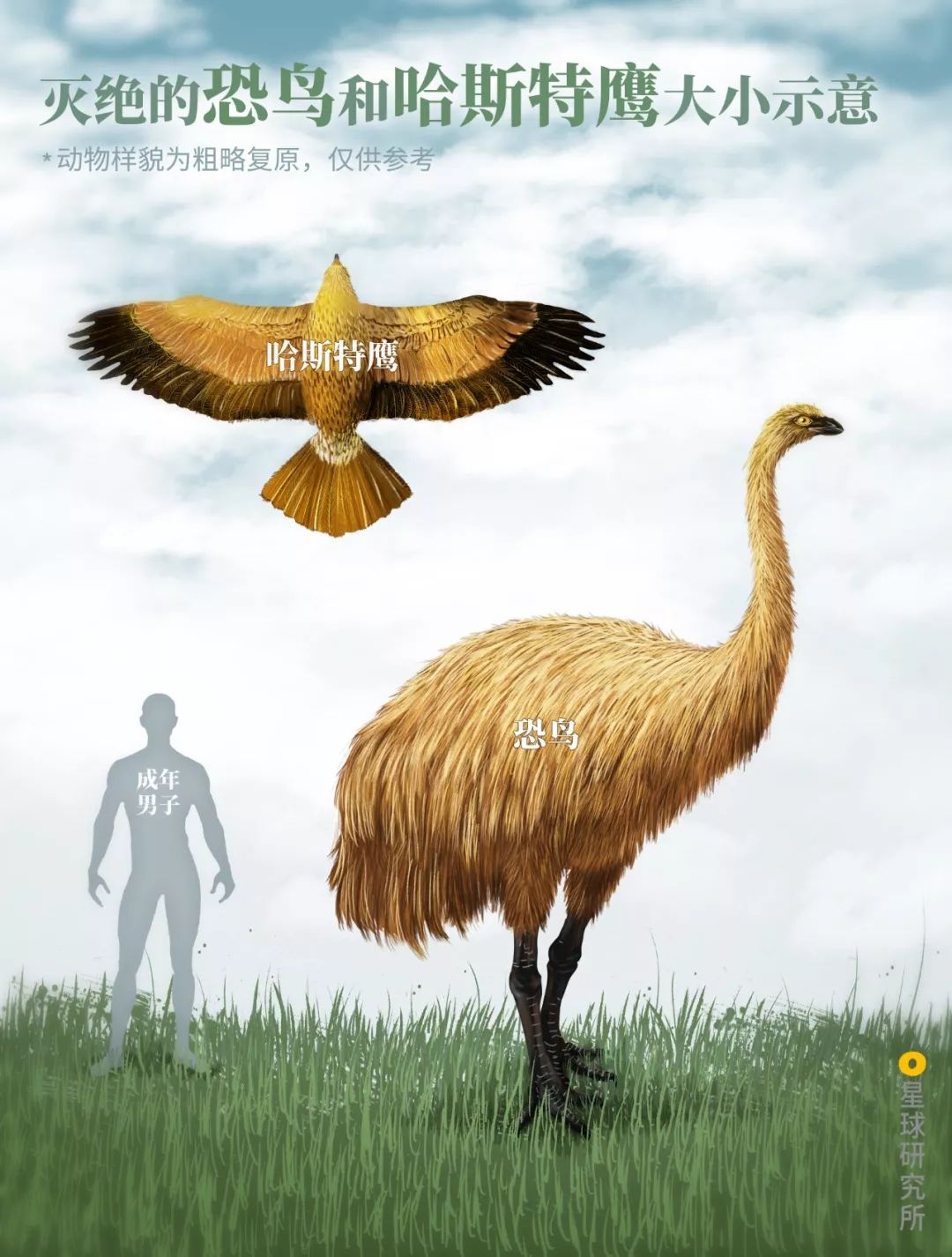 新西兰为什么那么发达,新西兰为什么这么牛