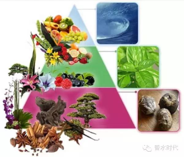 新手入门从零开始视频,入门的香水