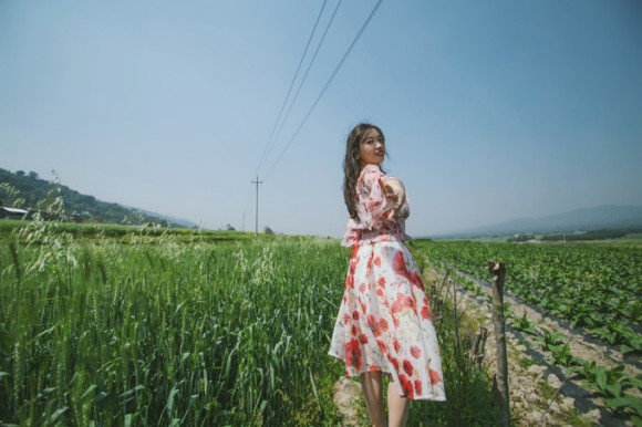 云南旅游全攻略自由行5天费用,去云南旅游自由行5天花多少钱