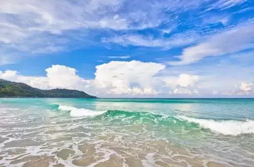 片仔癀成长性分析,片仔癀历年业绩增长图