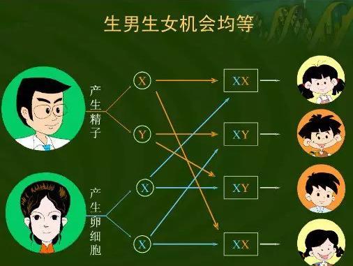 一胎女儿想要二胎儿子,一胎女儿二胎婆家想要男孩