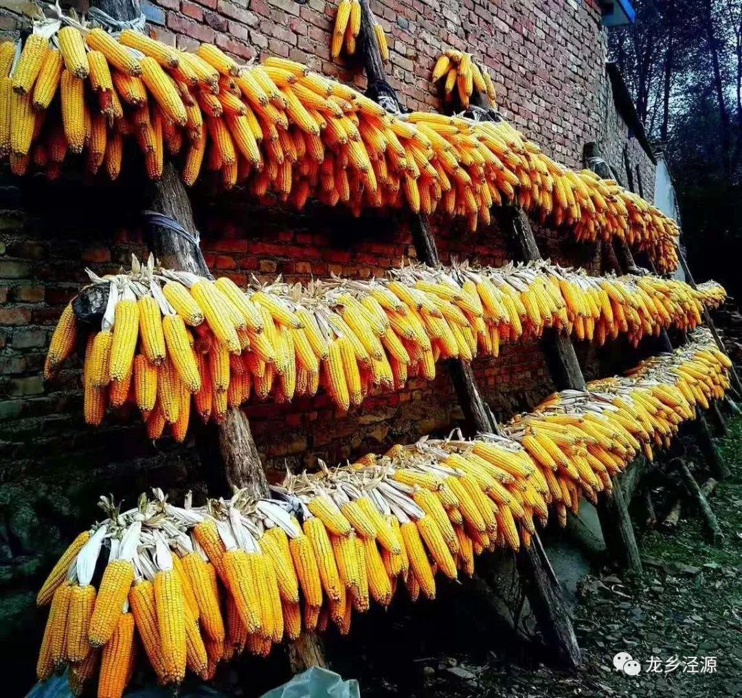 泾源秋天美景图片,泾源最美景色