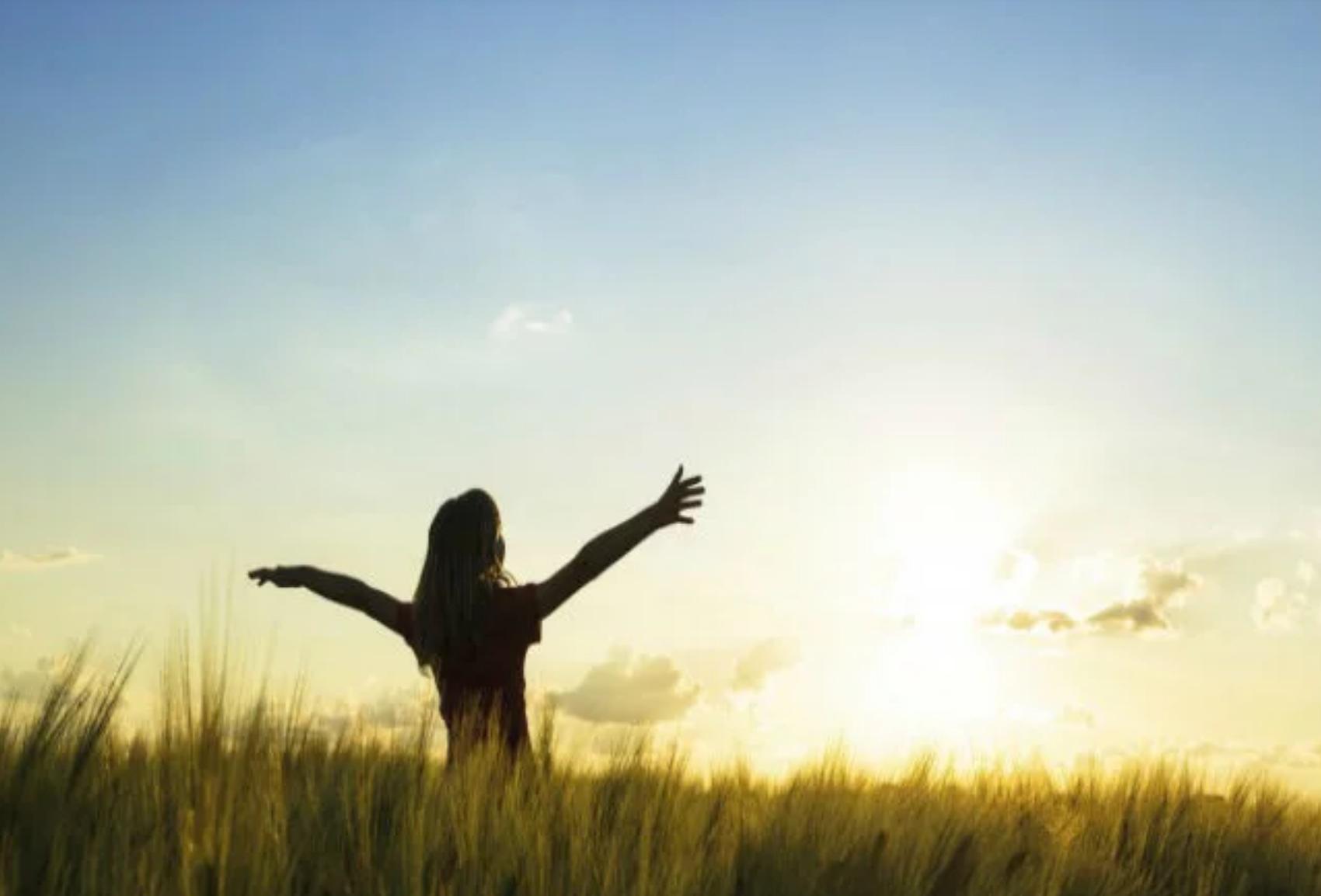 你可能不知道的金融知识,金星的特点都有哪些