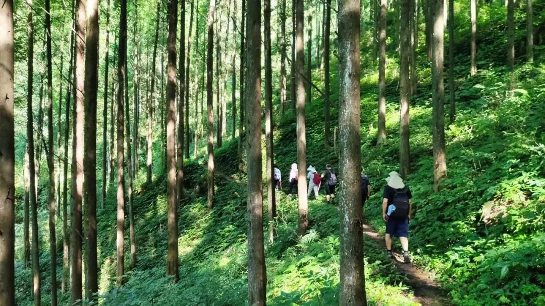 国庆成都周边旅游攻略推荐,成都周边旅游国庆2-3天推荐地方