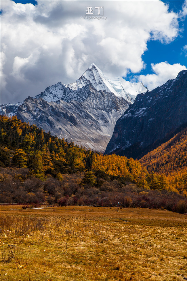 邓超张天爱从你的全世界路过稻城,从你的全世界路过稻城什么时候去
