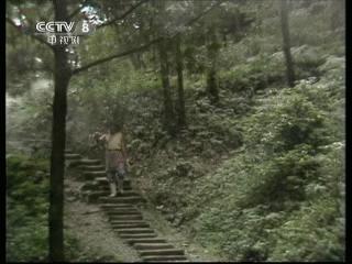 哪些电视剧在都江堰有取景,都江堰取景拍摄电视剧