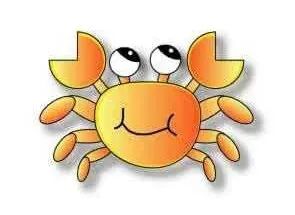 广东什么螃蟹好吃,广东什么螃蟹最多