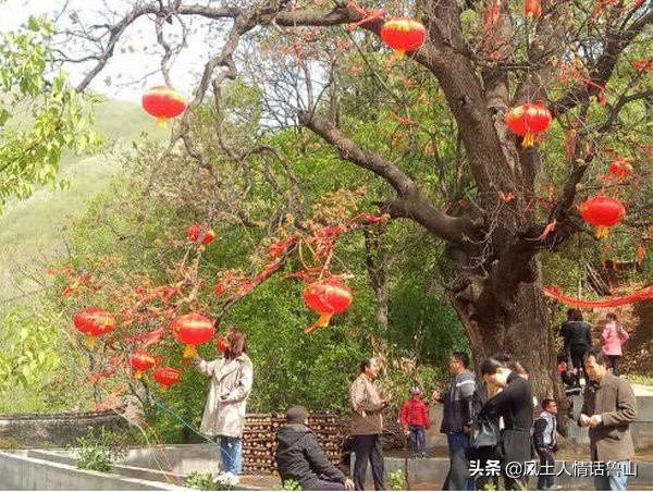 鲁山景点都有哪些,鲁山风景区都有哪