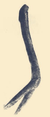 文化说文解字的解释,谈字说文解字