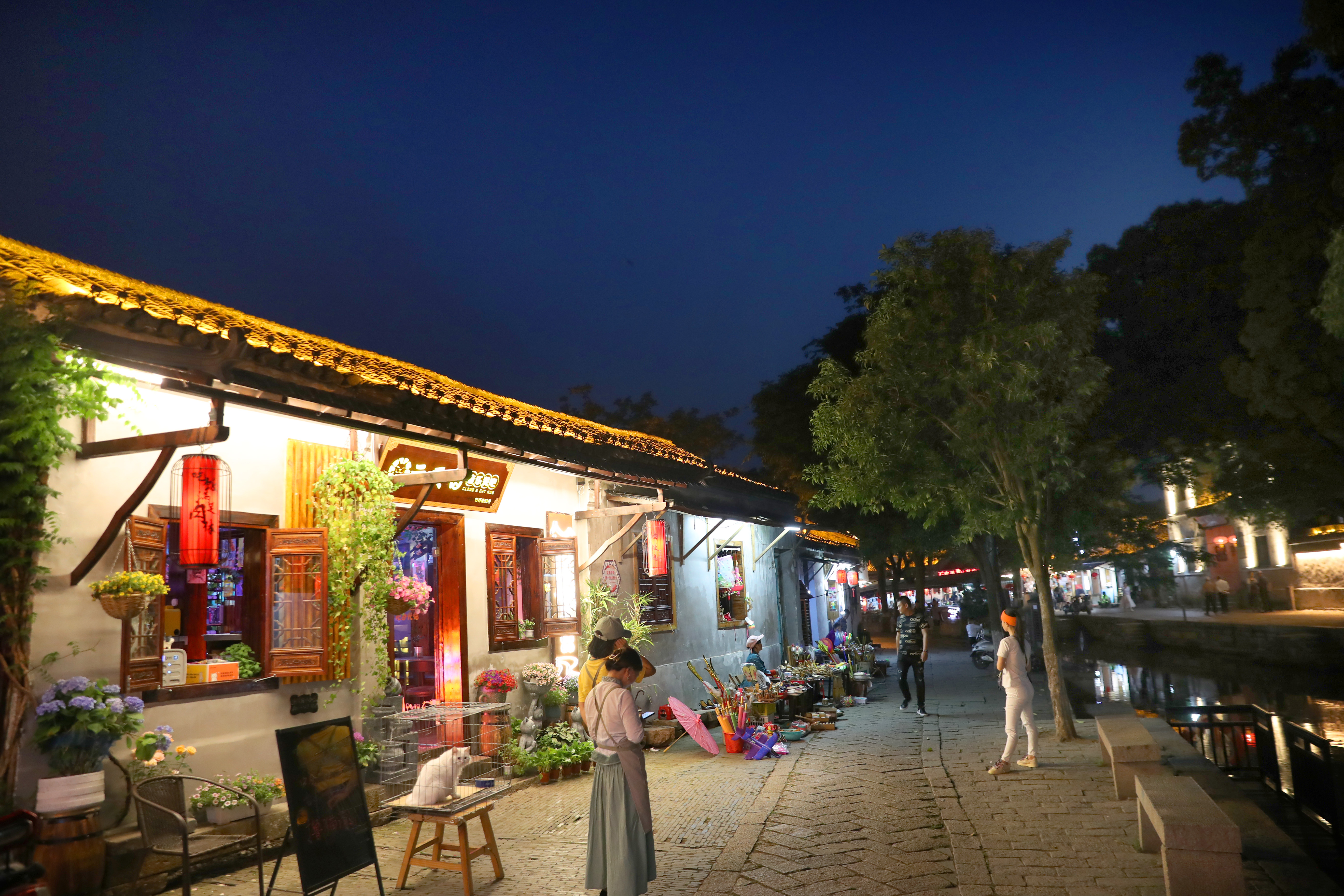 江南水乡古镇同里美景视频,同里古镇是世界文化遗产吗