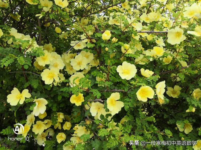 70篇短文搞定中考英语词汇,天津英语中考高频核心词汇速记