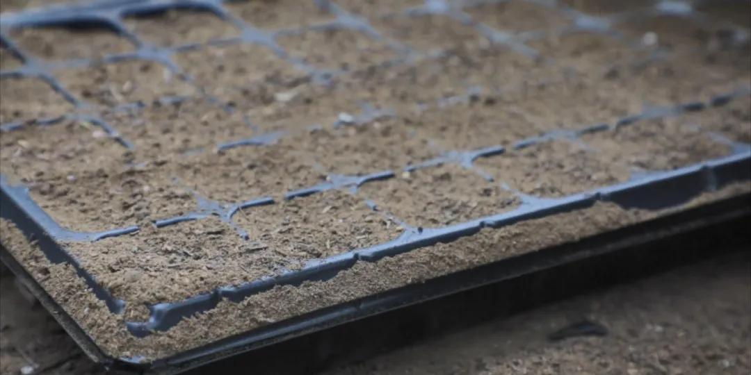 番茄锅酸甜番茄,超浓郁的番茄火锅吃一次就爱上了