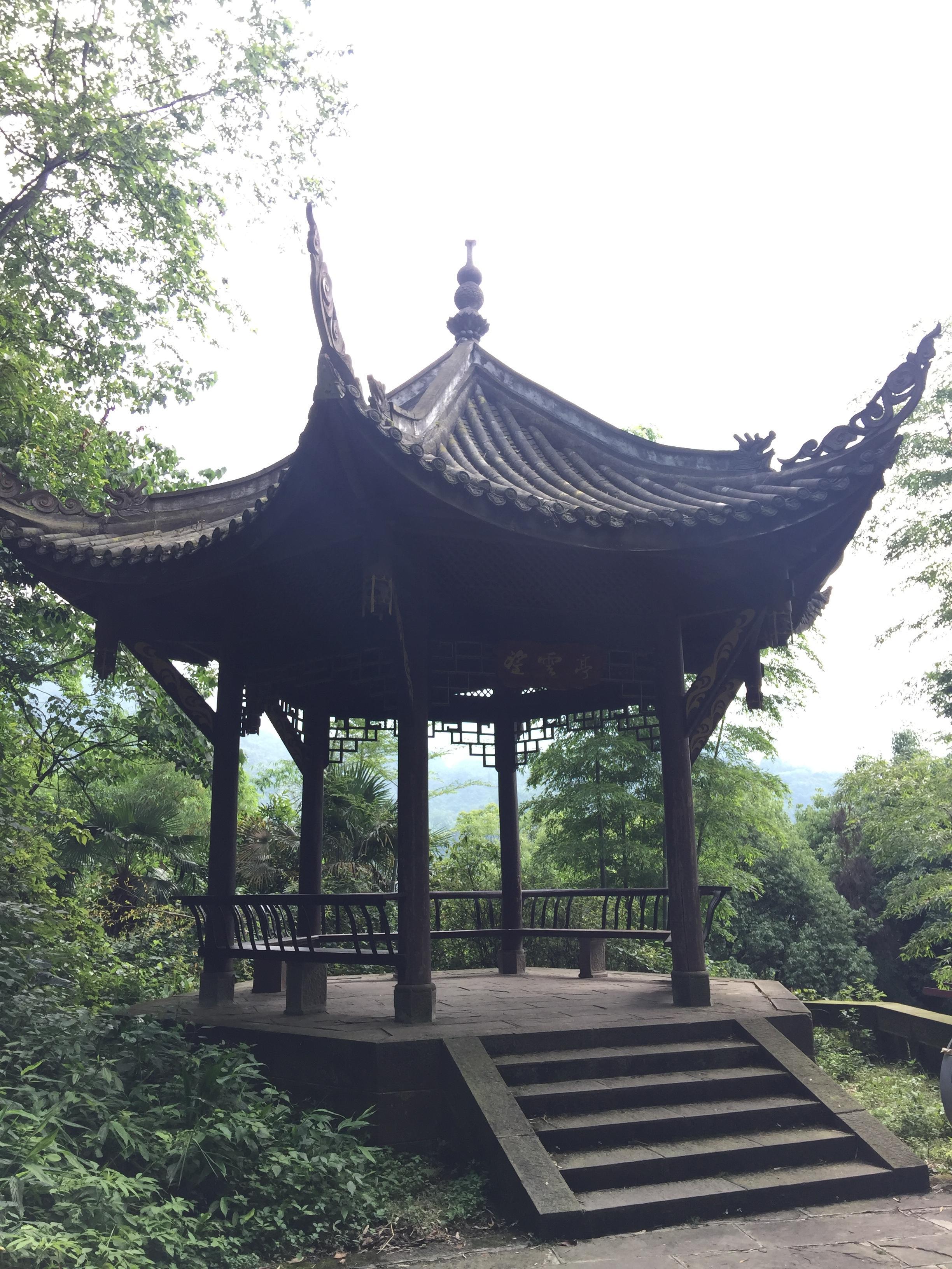 峨眉山登顶佛像,峨眉山登顶记完整版