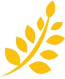 “坏人来了，怎么办？”——连江县进修校附属园防恐防暴应急疏散演练活动