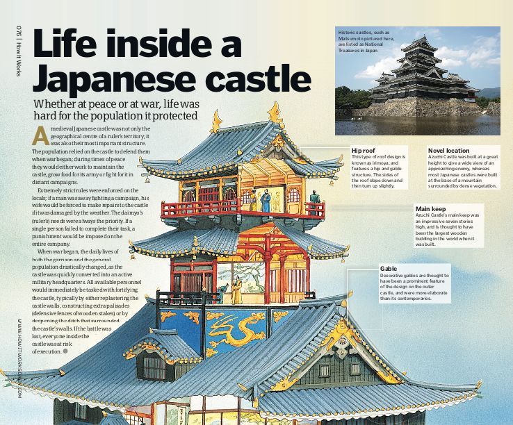 人类最致命的天敌,人类自相残杀的基因