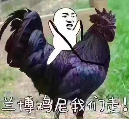 你一时冲动做过哪些事,你因为冲动做过什么事