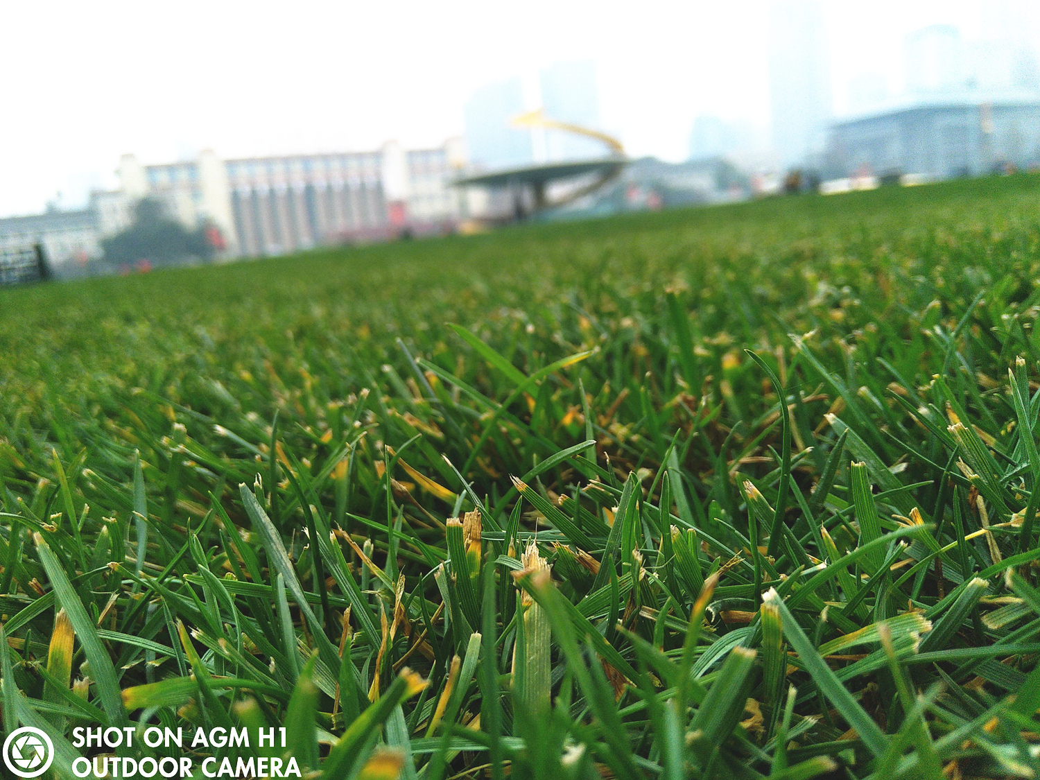 AGMH1手机:不怕摔,不怕水,能待机20天,父母最爱?