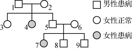 生物期中考选择题必考知识点,2017年生物期中考试题
