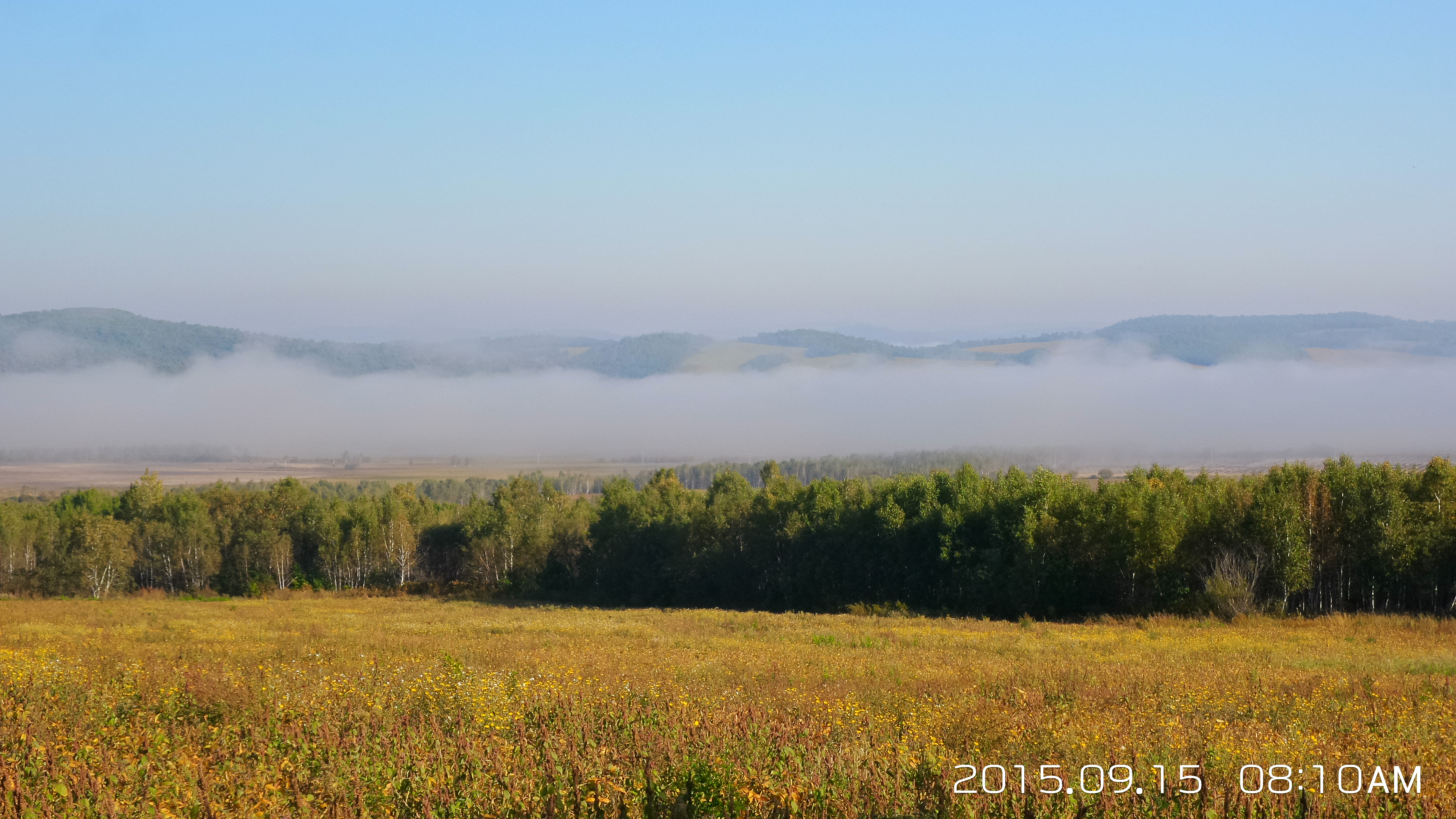 大山里的苦日子视频,你见过最苦的生活是什么样的