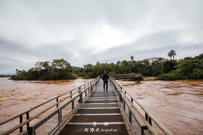 跟着电影游埃及,黎耀辉不如我们从头来过电影台词
