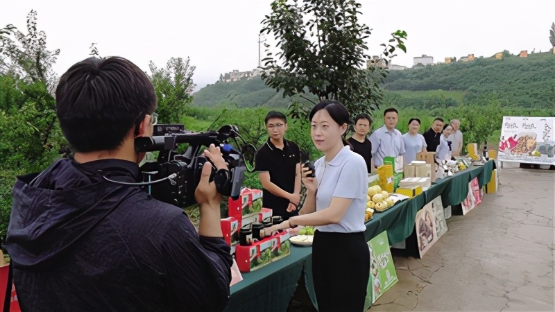 “直播经济”正当红——南阳市探索“互联网+”经济转型新突破