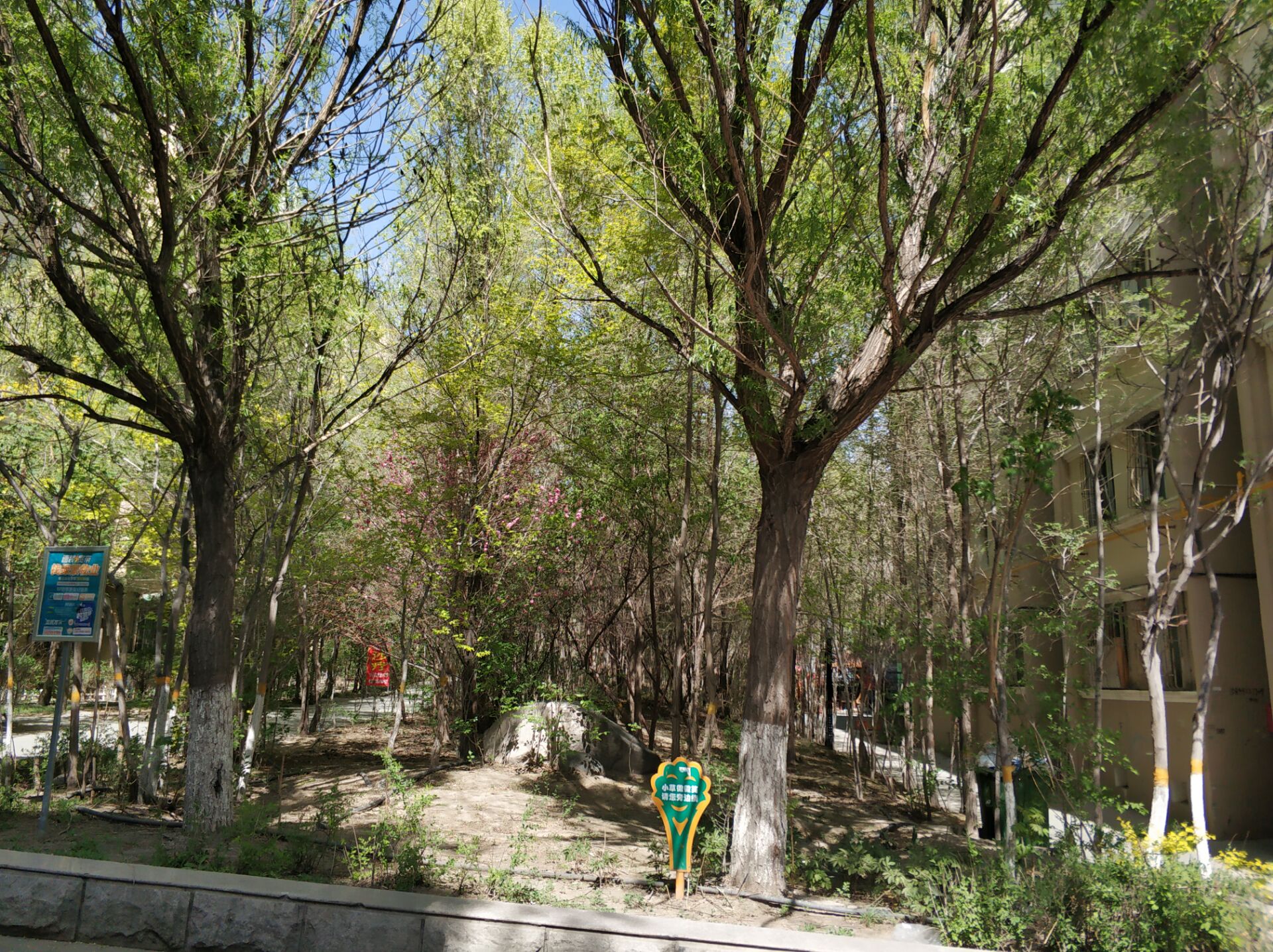 乌鲁木齐居然有这么漂亮的地方,乌鲁木齐周边森林公园在哪里