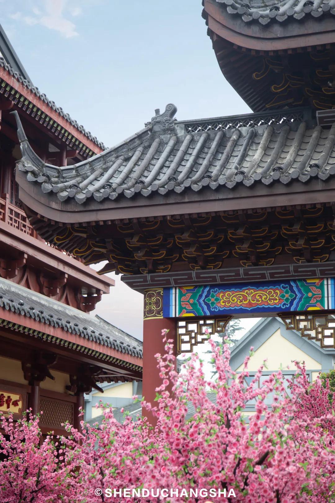 带小朋友去长沙方特东方神画,南宁方特东盟神画遛娃一日游攻略