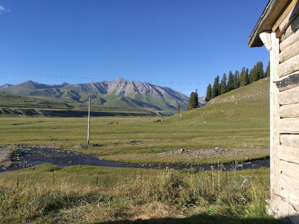 *疆新**蒙古包旅店老板,看他一天的收入多少,一个月就抵我一年工资