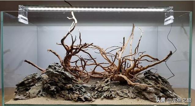 沉木与什么石头搭配造景,沉木造景选树桩还是拱桥