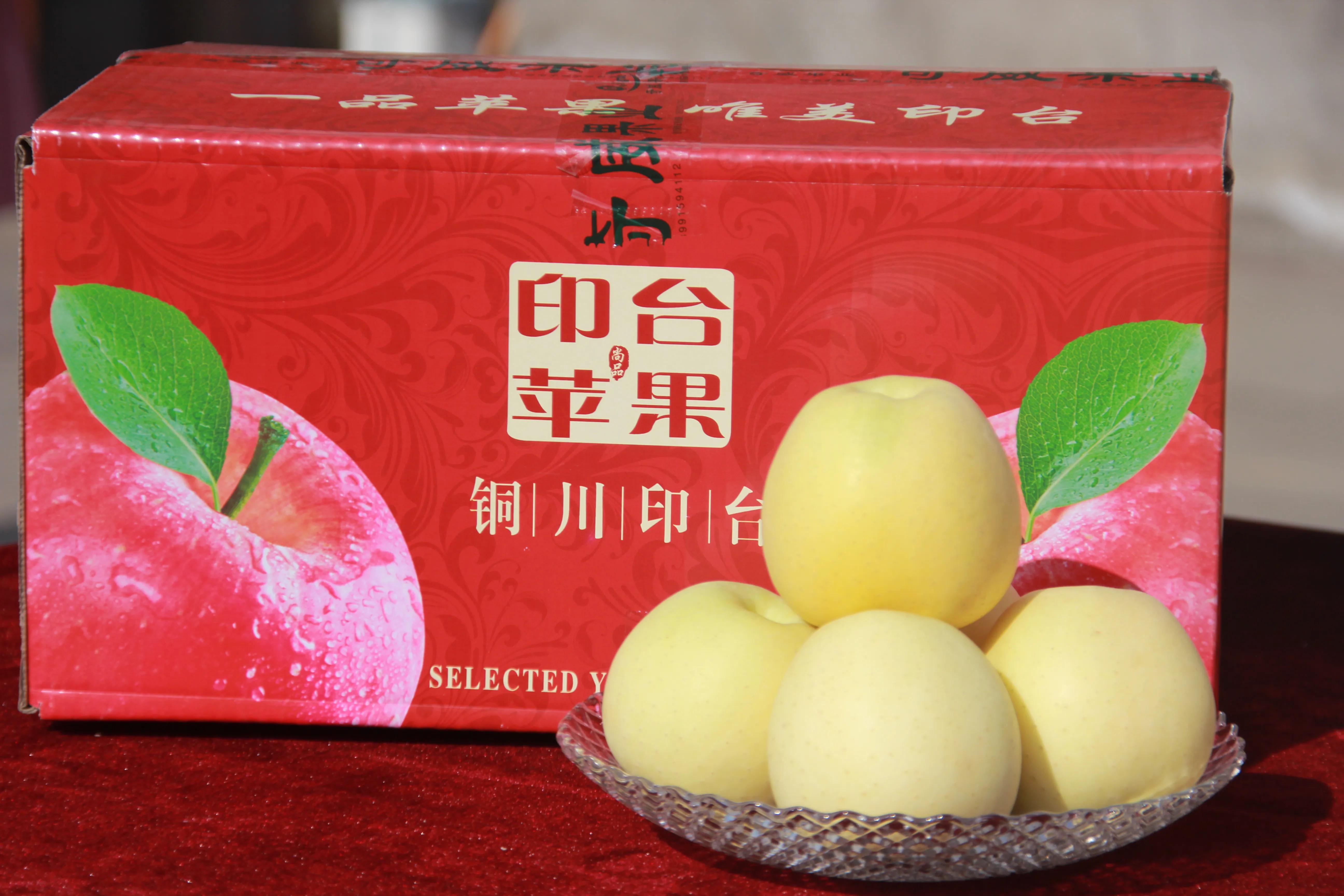 一品苹果·唯美印台,陕西果业产区行走进铜川印台区苹果优生区