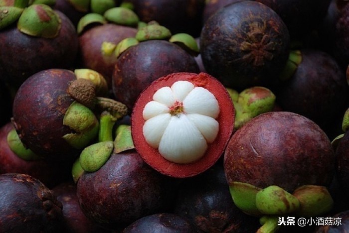 山竹酿酒配方大全,山竹酿酒怎么进去的