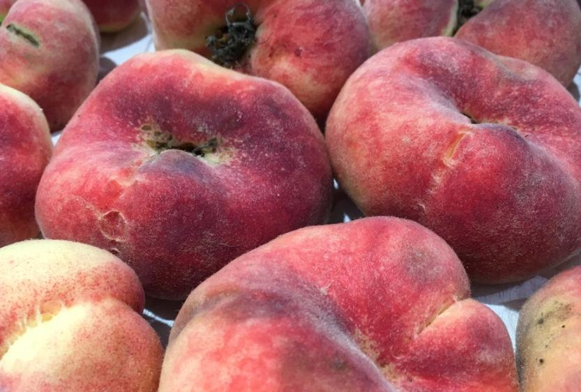 蟠桃是脆的还是软的,买蟠桃