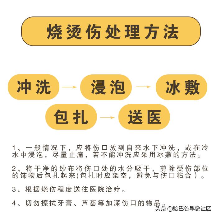 宠物烫伤怎么处理多喝水,宠物咬伤烫伤