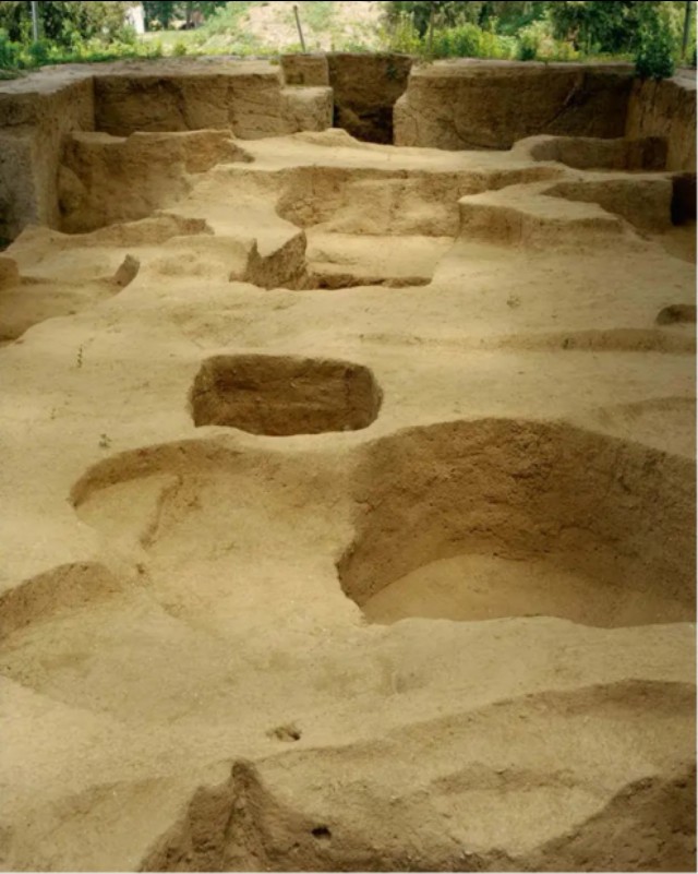 淮阳平粮台古城遗址图,淮阳平粮台古城遗址博物馆门票