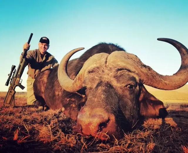 竞技型气步枪,高端狩猎步枪