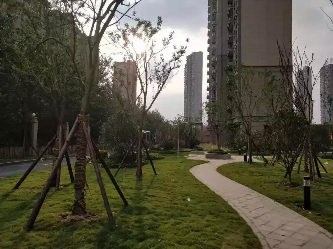 碧桂园这几年的发展,桂碧园园林景观