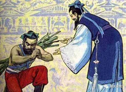 小时候不懂长大了才看懂了,长大了才看懂课文