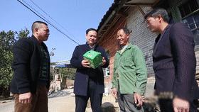 丰收土豆节,丰收节土豆