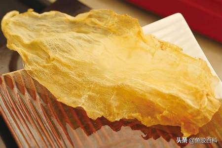 鱼胶有多美味,鱼胶其实是什么