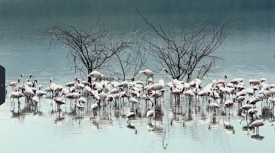 雷神之锤对战昊天锤究竟谁更强,雷神之锤世界纪录