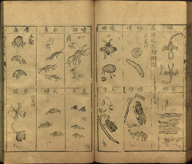 李时珍本草纲目书目录,李时珍本草纲目下卷