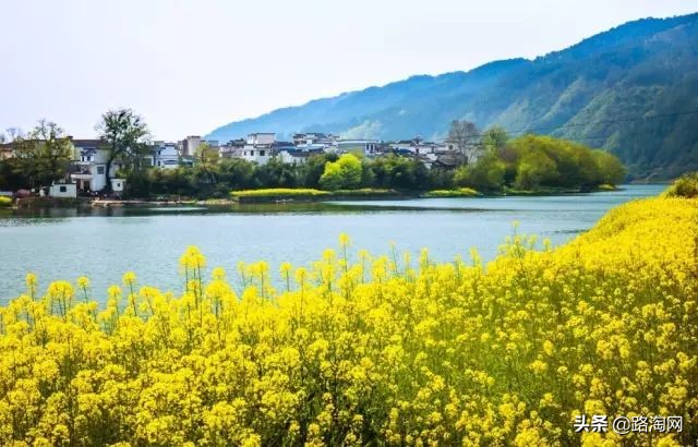 五一小长假结束再看一波各地美景,五一小长假去哪登山踏青看花好