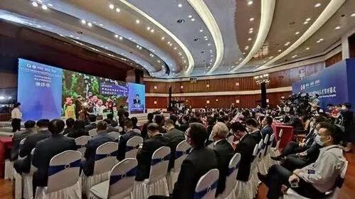 最新治疗骨坏死的中药,骨坏死创新药