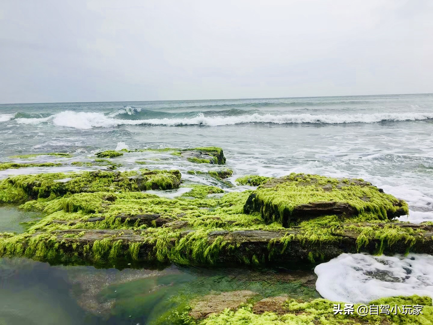 惠州最美礁石海滩,惠州最干净的沙滩推荐